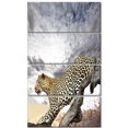 thumbnail image 2 of Leopard on Tree under Cloudy Sky - African Wall Art Print, 2 of 3