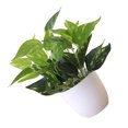 thumbnail image 3 of Artificial Potted Plant Leaf Simulation Leaves Home Office Desktop Greenery Decoration, 3 of 4