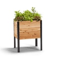 thumbnail image 1 of 18" x 24" Raised Garden Bed - 30" TALL, 1 of 10