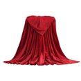 thumbnail image 3 of Aidoshy Soft Throw Blanket Super Soft Warm Warm Micro Plush Fleece Blanket Throw Rug Sofa Bedding, 3 of 3