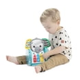 thumbnail image 2 of Jouet interactif Chase & Tap Earl de Baby Einstein, 2 of 4