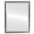thumbnail image 1 of Toronto Framed Mirror - Silver Leaf with Brown Antique, 1 of 6