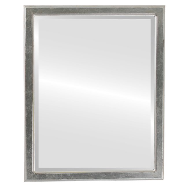 Toronto Framed Mirror - Silver Leaf with Brown Antique