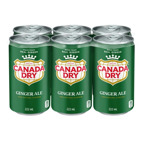 Canada Dry® Ginger Ale 222 mL Mini-Cans, 6 Pack