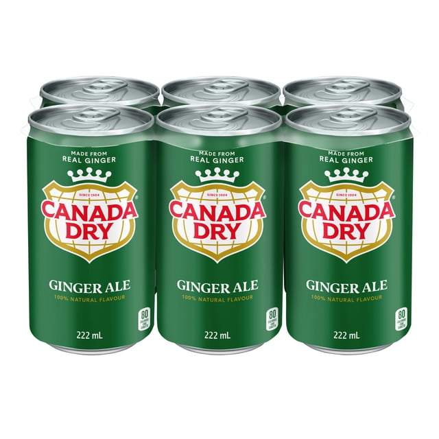 Canada Dry® Ginger Ale 222 mL Mini-Cans, 6 Pack