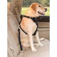thumbnail image 1 of 1pc Pet Car Safety Belt, Retractable, Suitable For Pet Car Safety And Pet Leash, 1 of 4