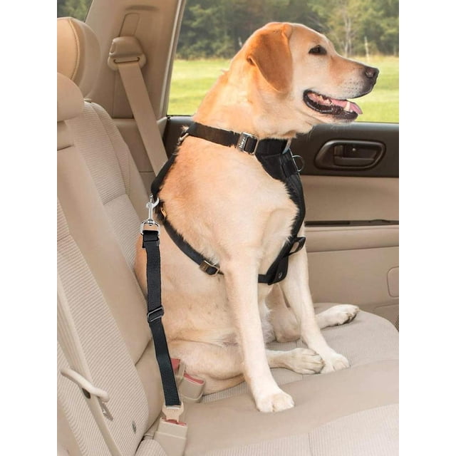 1pc Pet Car Safety Belt, Retractable, Suitable For Pet Car Safety And Pet Leash