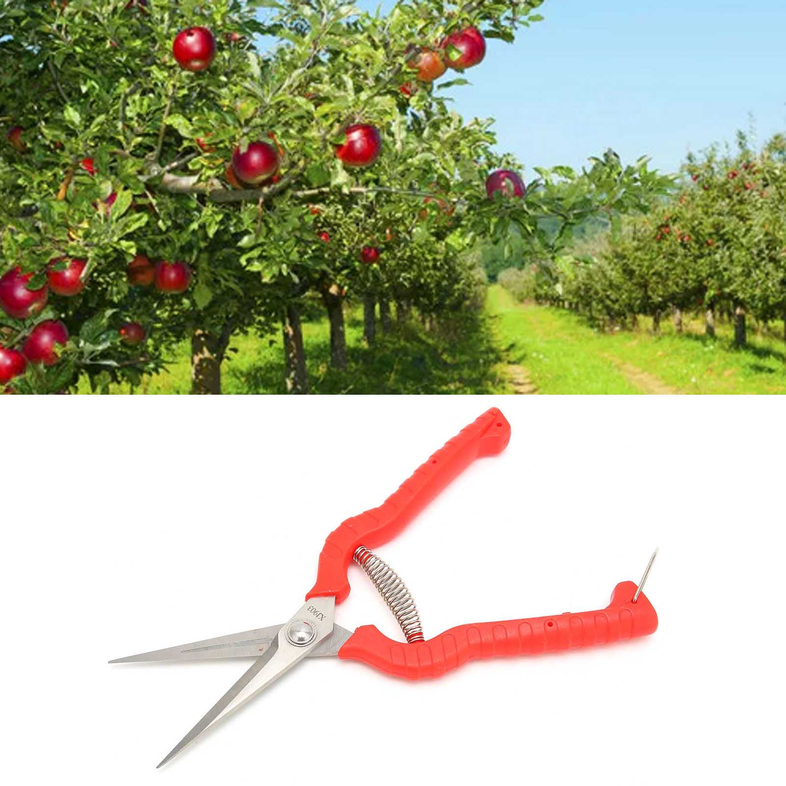 Trimming Scissors, Pruning Shears Bonsai Tools Garden Pruning Shears Garden Snips Gardening Hand Tool Plant Shears  for Home Garden Yard Farm