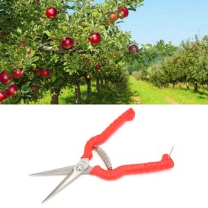 Trimming Scissors, Pruning Shears Bonsai Tools Garden Pruning Shears Garden Snips Gardening Hand Tool Plant Shears  for Home Garden Yard Farm