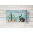 thumbnail image 2 of Carolines Treasures BB9330PW1216 Tan Rabbit Christmas Canvas Fabric Decorative Pillow, 2 of 3