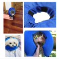 thumbnail image 3 of Inflatable Collar Dog Cat Soft Collar Pet Puppy Medical Protection Head Cone, 3 of 5