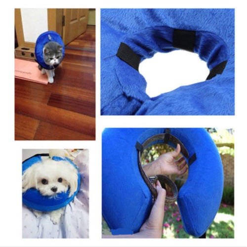 Collier Gonflable Chien Chat Collier Souple Animal Chiot Protection Médicale Cône de Tête