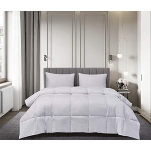 BlueRidge Home Fashion Goose Down and Feather Full-Queen in White Color Down Down Comforter,