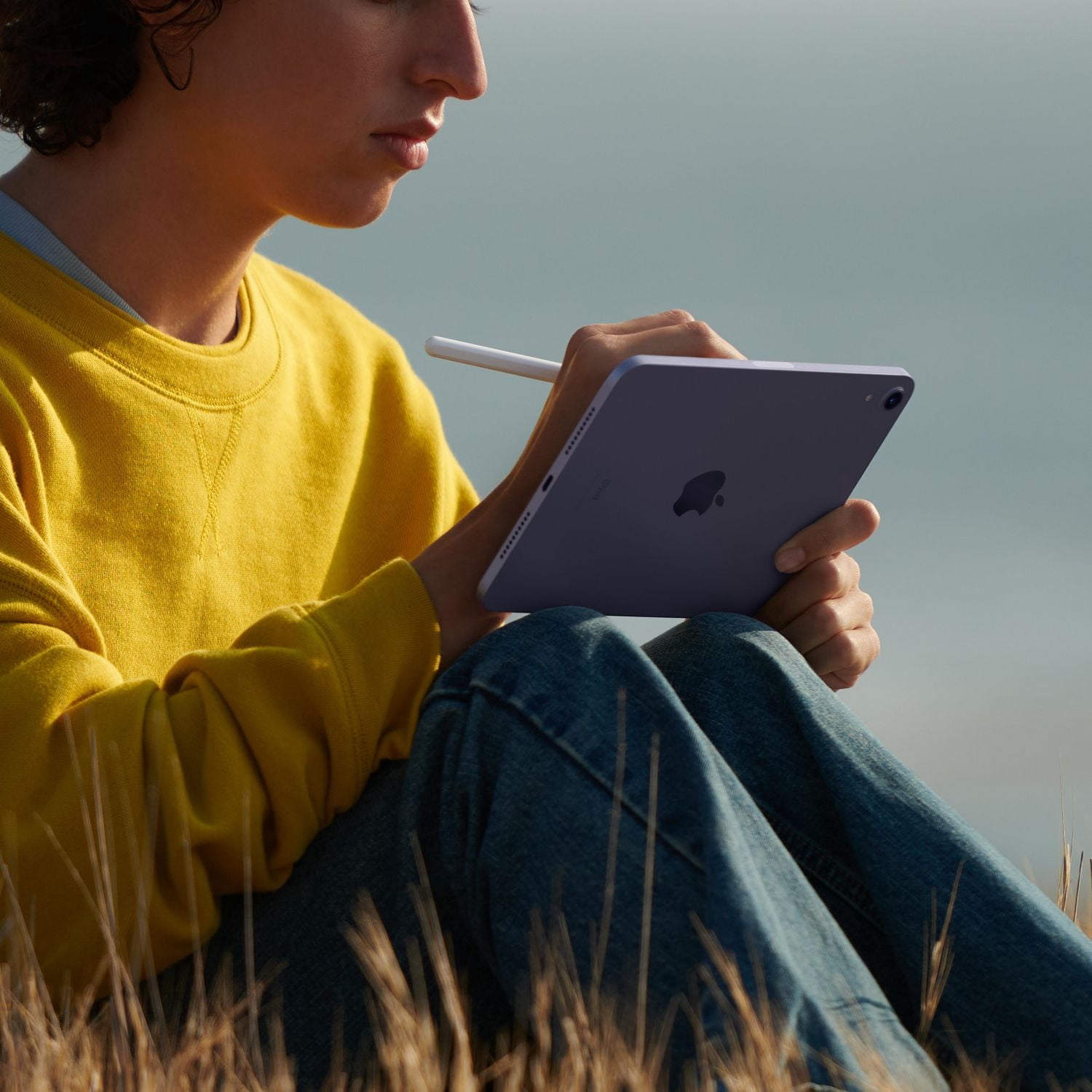 iPad mini 256GB WiFi (6th génération)