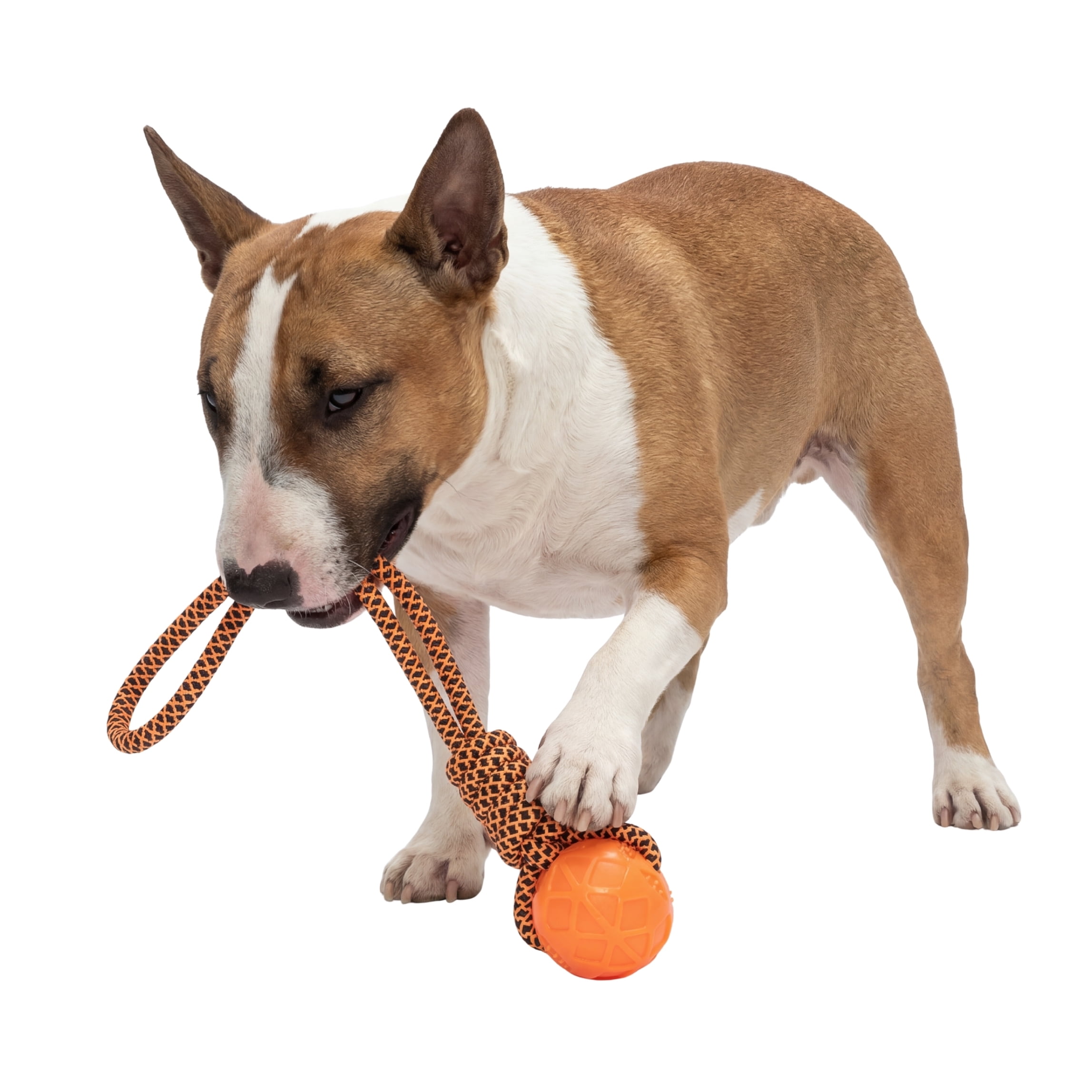 One Paw, Jouet pour chien, corde à tirer et balle, tir à la corde, orange, pour chiens
