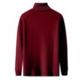 thumbnail image 2 of Chandail à Col Roulé pour Homme Coupe Régulière Basique Manches Longues T-Shirts Couleur Unie Tricot d'Automne Chandail Décontracté, 2 of 4