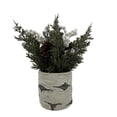 thumbnail image 3 of Holiday Time Wow 10in Green Pinecone Potted Tree, 3 of 5