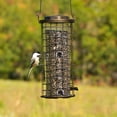 thumbnail image 3 of Perky-Pet Squirrel Stumper Wild Bird Feeder, 3 of 8