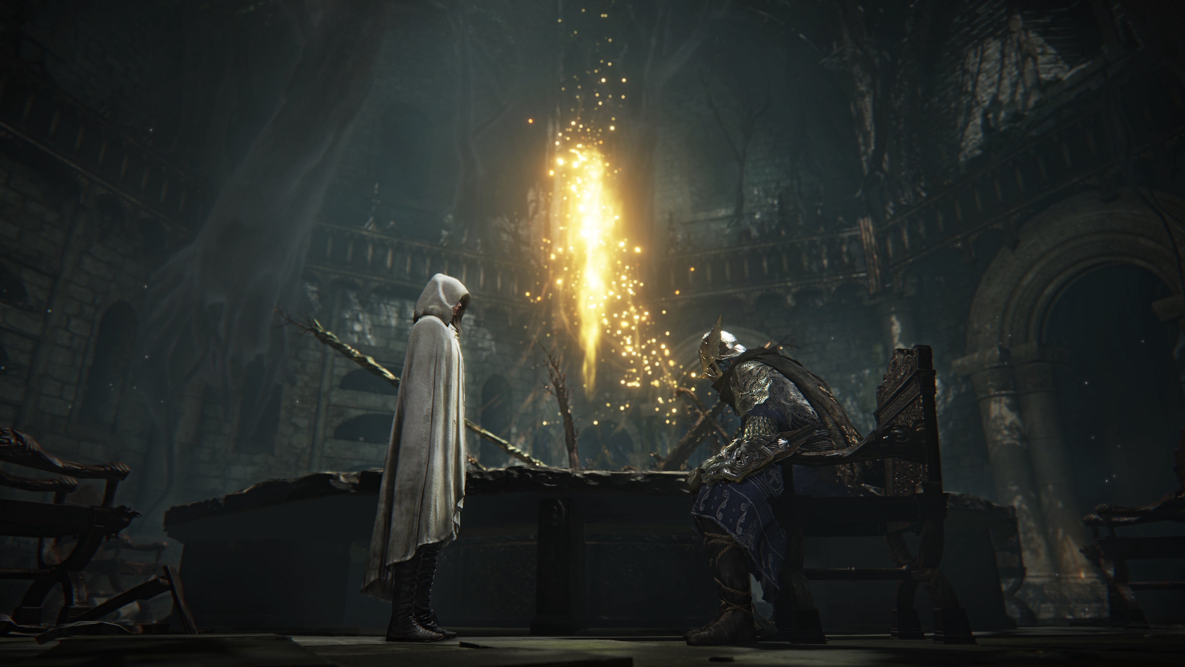 Jeu vidéo Elden Ring Nightreign, PlayStation 5