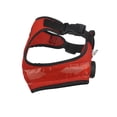 thumbnail image 1 of TIELUTT Laisse Lumineuse Harnais Réfléchissant Ajustable Collier à DEL Rechargeable par USB Bandes Ventrales pour Chiens Mâles avec Anneaux à Boutons-Pression Grand Gilet Coyote pour Chat Podomètre à Enjambement Bas Chandails pour Chiot pour Petits Chiens Extr, 1 of 4