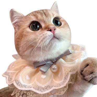 Bandana pour Chat Créatif Adorable Nœud Papillon Bandana Décoratif Foulard pour Chiot