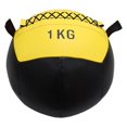 thumbnail image 2 of pitrice 30cm Fitness Wall Ball Weighted Core Training Strength Home Workout, 2 of 6