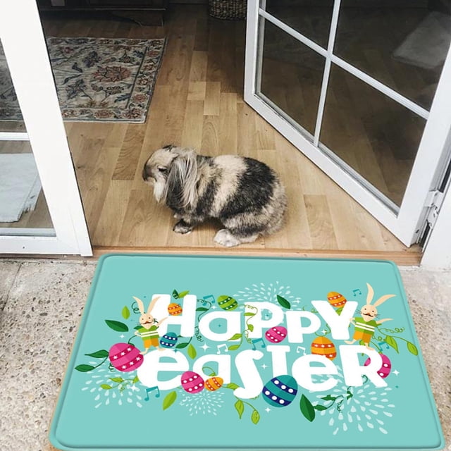 Dvkptbk Easter Day Door Mat - Front Door Mat - Bath Rug Super Absorbent Dry - Rubber Backing Non Slip Washable Bathroom Floor Mats -Green 16X24 In Easter Decorations