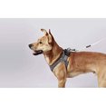 thumbnail image 1 of PETKIT Air Pro Harness, Medium, Light Foam, Shock Absorbent, Breathable, for Medium and Small Animals (Medium), 1 of 7