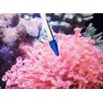 thumbnail image 3 of Mangeoire à Corail SPS HPS Mangeoire, Version Longue et Courte pour Poissons Marins et Récif Aquarium Corail, 3 of 6