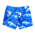 thumbnail image 1 of Hiiyo Maillots de Bain Garçons Imprimés Requin Séchage Rapide, 1 of 5