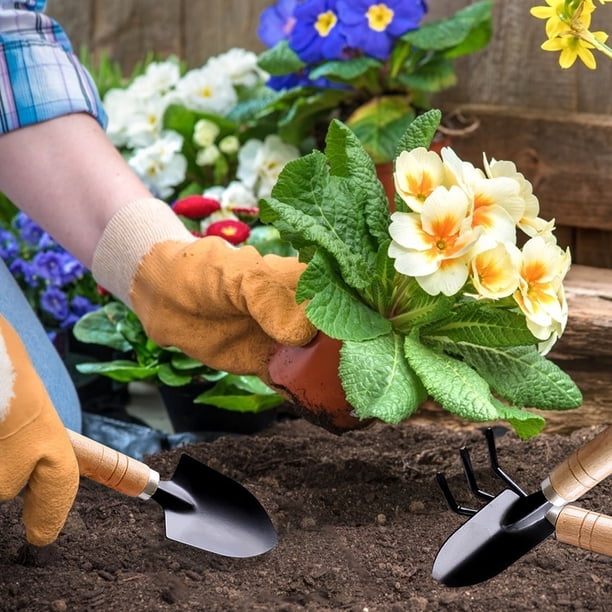 SLYNSHome Garden Tools Set,3 Piece Heavy Duty Gardening Tools