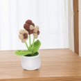 thumbnail image 4 of Bgsha Handwoven Wool Crochet Puff Flower Pot: A Timeless,Low-maintenance Home Decor!, 4 of 10