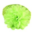 thumbnail image 1 of Kcodviy Bébé Enfants Filles Dentelle Registre de Cadeaux par Nom Fleur Bandeau Serre-Tête Robe Révélation de Grossesse vers le Haut Bandeau Vert, 1 of 1