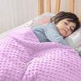 thumbnail image 3 of DPTALR Baby Soft Minky Blanket Fleece Stroller Cover Quilt (1 Count), 3 of 4