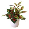 thumbnail image 1 of fastboy Artificial Potted Plant Leaf Simulation Leaves Home Office Desktop Greenery Decoration, Plant Type 15, 1 of 5