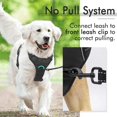 thumbnail image 3 of OUTAD Vest Nylon Chest Strap Small Dog Cat Halter Harness Lead For Large Dog And Cat Durable High Quality Nylon Pet Leash, 3 of 6