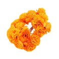 thumbnail image 1 of SLYNSHome Halloween Decorations String Lights,59 inch 10LED Fake Flower String Lights for Home Autumn Harvest Halloween Party Decor, 1 of 8