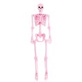 thumbnail image 1 of Poseable Crazy Bones Skeleton in Pink Decoration, 1 of 4
