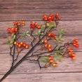 thumbnail image 3 of <p>Pot de Plante Verte Fruit Artificiel Baies Simulation Fruit de Noël Fruit Rouge Fruit Riche Fruit Rouge Plante Fleur Simulation</p>, 3 of 7