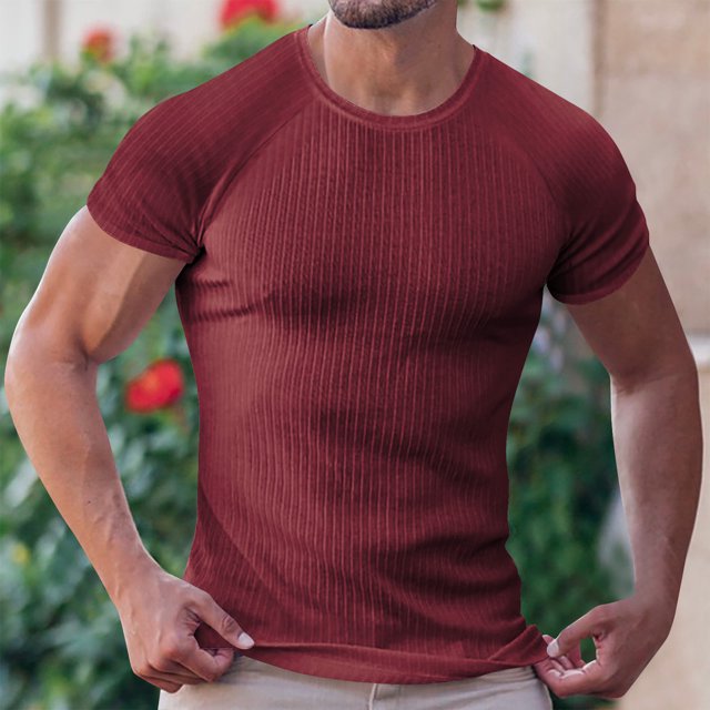 T-Shirt pour Homme, Haut Décontracté à Manches Courtes et Col Rond, Tissu en Polyester Doux pour le Quotidien