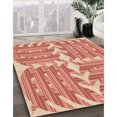 thumbnail image 3 of Ahgly Company Tapis d'Intérieur Lavables en Machine, Rectangle de Transition Rose Saumon Clair, 8' x 12', 3 of 7