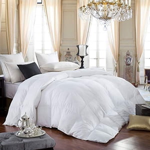 LUXURIOUS Queen Size Siberian GOOSE DOWN Comforter, 600 Thread Count 100% Egyptian Cotton Cover, Solid White Color, 750 Fill Power, 60 Oz Fill Weight, All Season Down Comforter