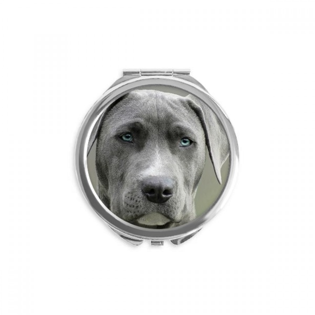 Handsome Dog Pet Animal Picture Hand Compact Mirror Round Portable Pocket Glass