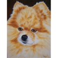 thumbnail image 1 of Carolines Treasures AMB1049CHF Pomeranian Drapeau Toile Taille Maison, 1 of 4