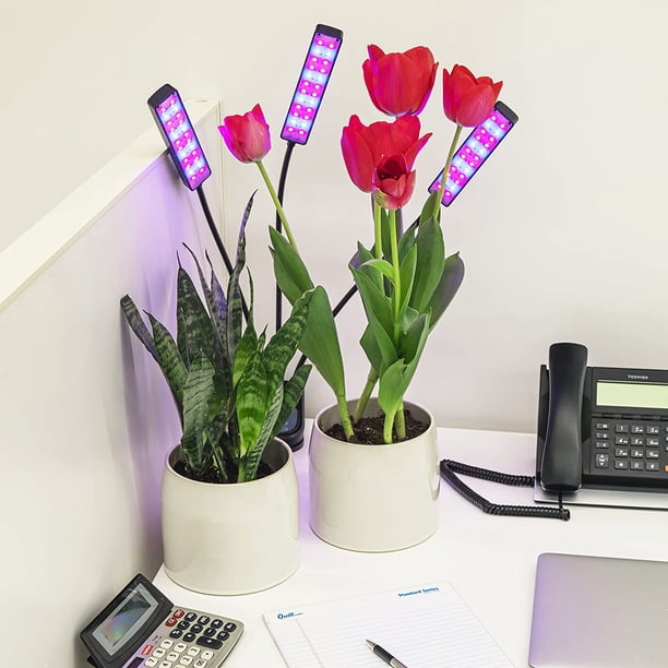 GrowLight 15w 3個　ヘリオスコラボライト 2個 Bell + Howell Bionic Grow Light for Indoor Plants 3 Heads Flexible