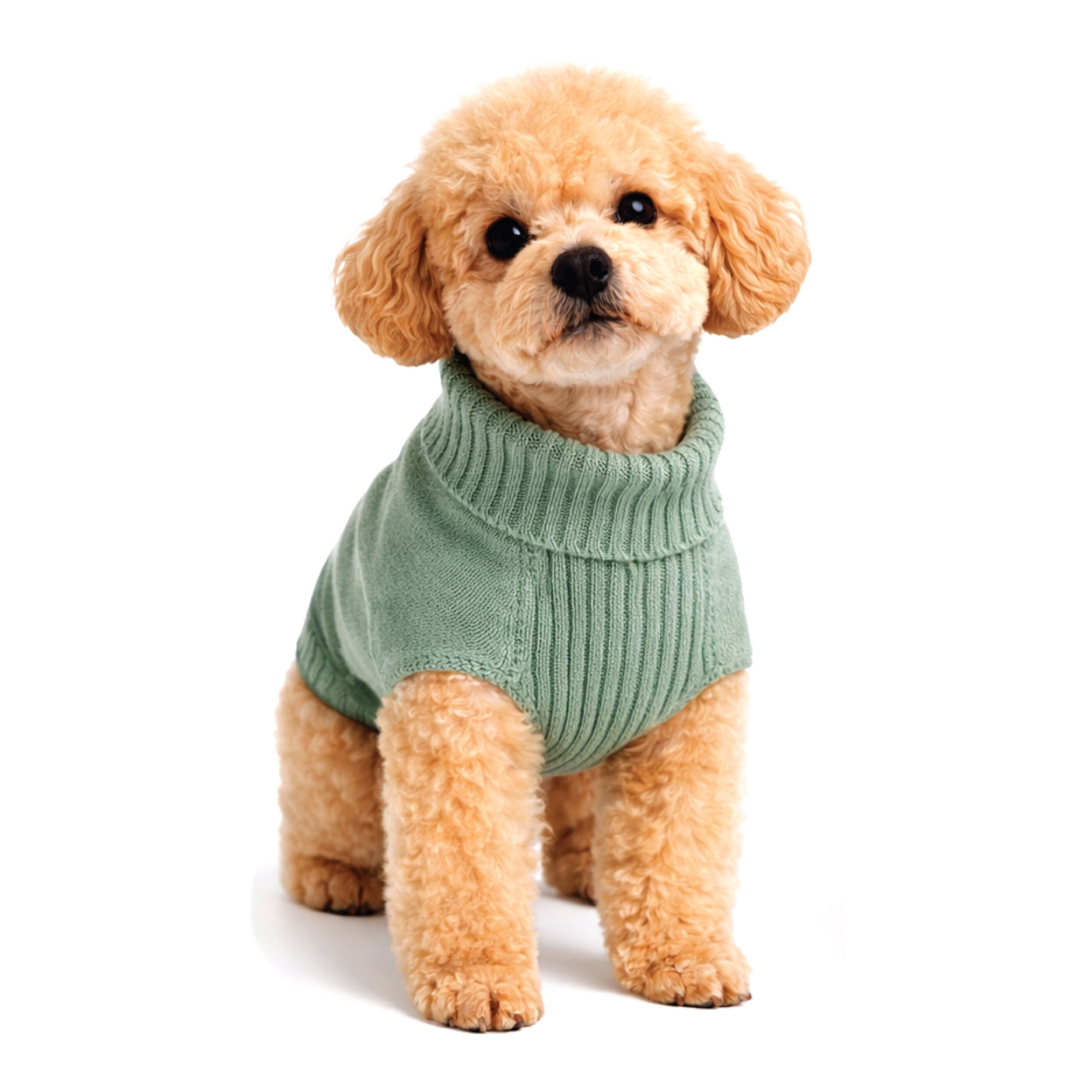 One Paw, Pull à col roulé côtelé vert sauge pour chien , couleur sauge, doux et chaud, plusieurs tailles disponibles, pour chiens