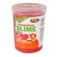 thumbnail image 1 of Slime bruyant et gluant de Nickelodeon – Rose, 1 of 5