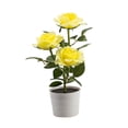 thumbnail image 2 of EGNMCR 3 Led Rose Lantern Solar 3 Heads Rose LED Potted Table Lamp Night Light Solar lantern, 2 of 4