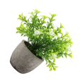 thumbnail image 2 of Decodeary Green Eco-friendly Artificial Money Tree In Pot Long-lasting Durability Realistic Appearance white babysbreath 1Set, 2 of 6