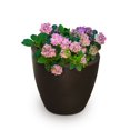 thumbnail image 1 of Modesto 20" Tall Planter, 1 of 2